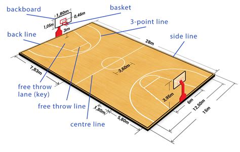 what are the lines on a basketball court